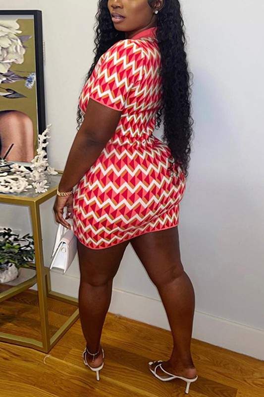 POLO COLLAR MINI DRESS