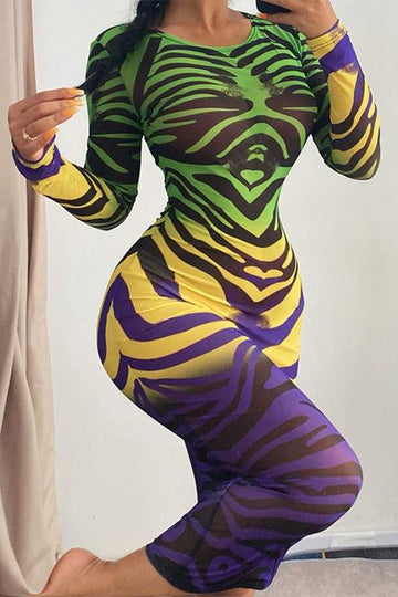 MESH GRAPHIC LONG DRESS
