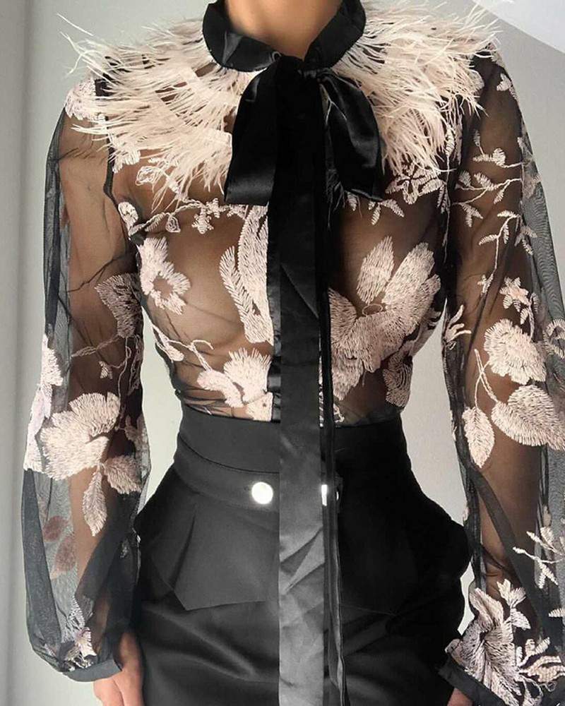 Unique Sheer Top with Feathered Elegance